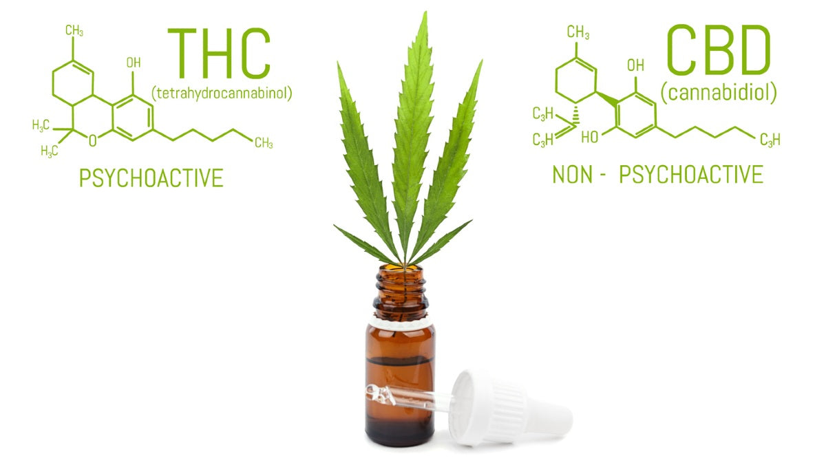 Delta 9 vs CBD: Differences & Similarities